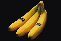 Riscaldamento globale banane come patate