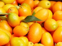 kumquat-le-proprieta